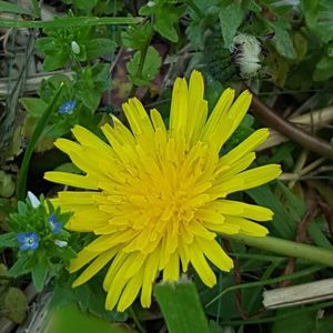 Meet your Posher, Cherlyn